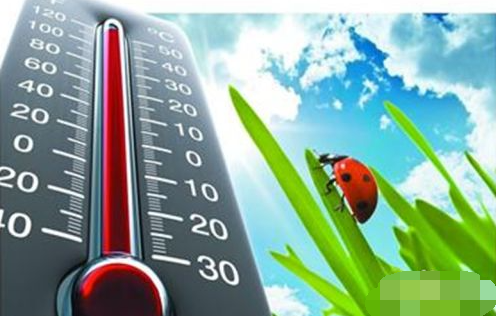 1620288269655675.png image.png