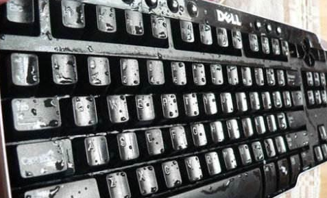 1620356492395892.png image.png