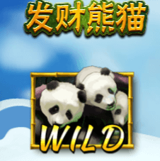 天天赢棋牌手机版