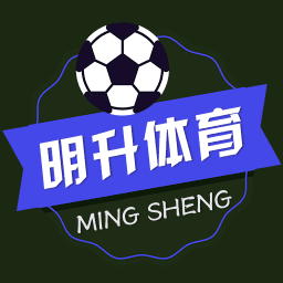 im体育是哪个公司