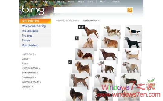 微软开始测试可视化搜索技术 更直观的了解产品