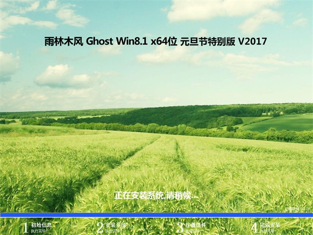 雨林木风win8.1系统