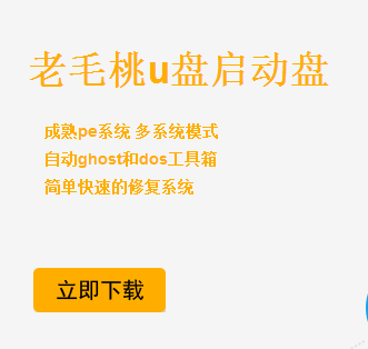 1504253623100259.png 老毛桃