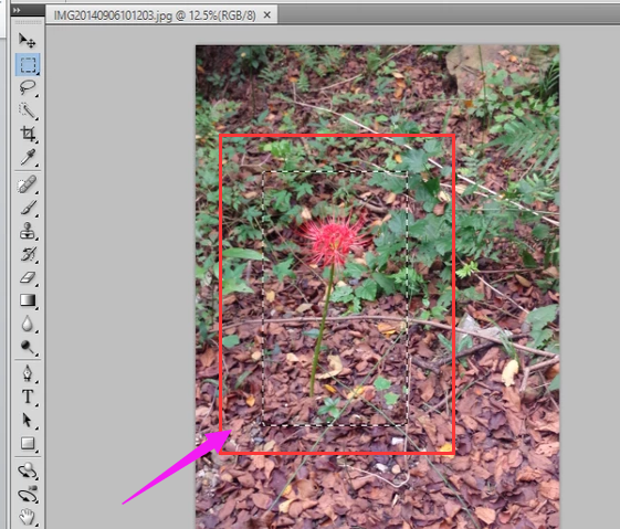 反选快捷键 反选快捷键